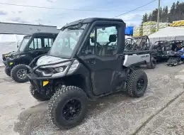 2020 Can-am Defender Limited Hd10